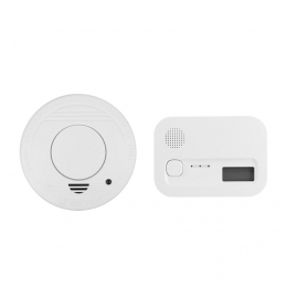 Smartwares rook- en koolmonoxide melder, type RM250 en FGA-1304